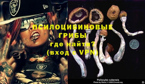PSILOCYBIN Баксан